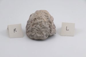 d-raku-C-q-4
