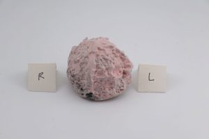 d-white-plus-B-l-4